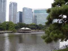 Ochaya