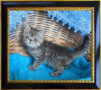 paradisecattery.narod.ru Odelina