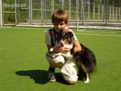 dogster.ru Odelina