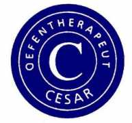 Oefentherapie