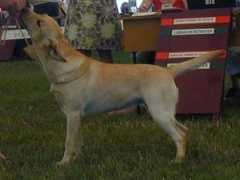 port.of.nessie.retriever.hu Offland