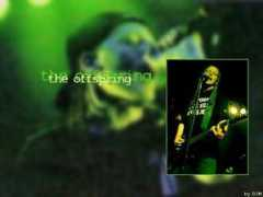 Offspring