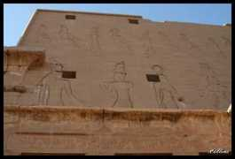 collins.com.pl Ofiar