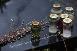 wiadomosci.wp.pl Ofiar