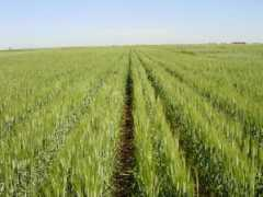 nue.okstate.edu Ofit