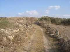 biblewalks.com Ofrat