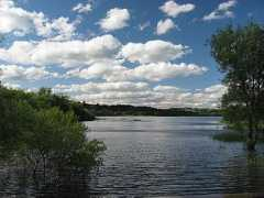 Ogston