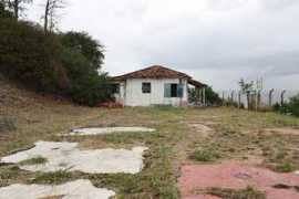 operamundi.uol.com.br Oitis