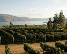 Okanagan