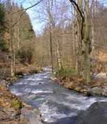 rivers.raft.cz Olesenka