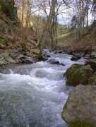 rivers.raft.cz Olesenka