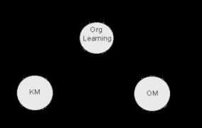 management.com.ua Olfman