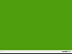 colourlovers.com Olivey