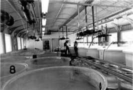 libweb.hawaii.edu Olkeriil