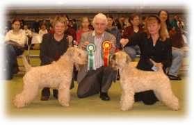 leithbhrogan.com Ollenberg