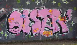 ekosystem.org Olster