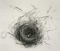 featureshoot.com Oltremari