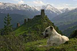 visitgeorgia.it Omalo