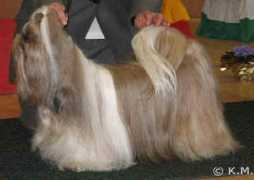 personal.inet.fi Onfashion