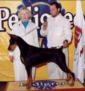 dobermanns.com.br Onitcha