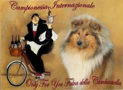 colliesinitaly.it Onlyforu