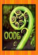 Oode