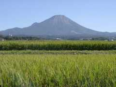 Oohara