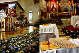 joeyreyna.com Opiniano