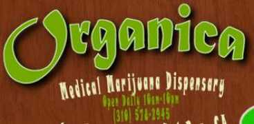 weedconnection.com Organica