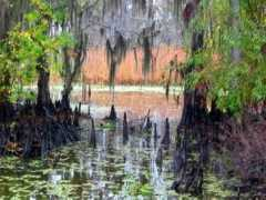 swiatpodrozy.pl Orleanu