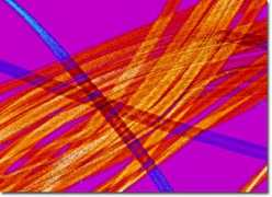 micro.magnet.fsu.edu Orlon