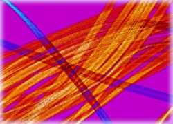 olympusmicro.com Orlon