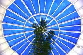 worldredeye.com Ornare