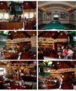 billmurray.it Orolando