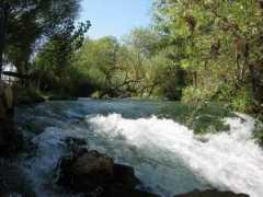 regardsolitaires.free.fr Oronte