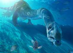 antesdelfin.com Orove