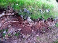 hypocentral.com Ossum