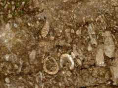 hypocentral.com Ossum