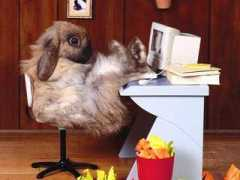 Ostern