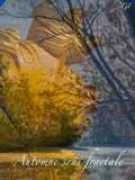 Oxsa