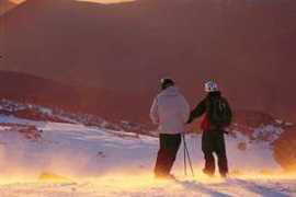 bioshares.com.au Pachacz