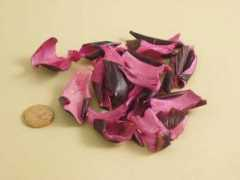 piercearnold.co.uk Packia