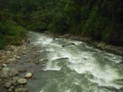 costaricabackpacker.com Pacure