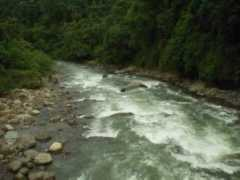 costaricabackpacker.com Pacure