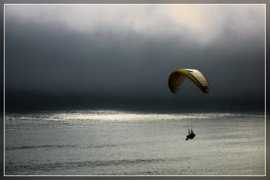 slo-foto.net Padalec