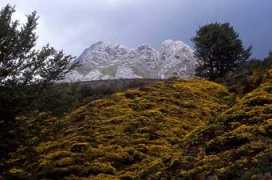 masse-fr.com Padierna