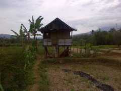 Pagaralam