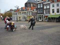 dominau.en-escale.com Pagnie