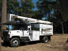 pagodinstreecareservice.com Pagodin