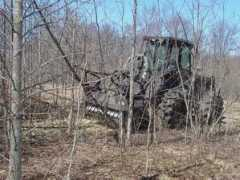 pagodinstreecareservice.com Pagodin